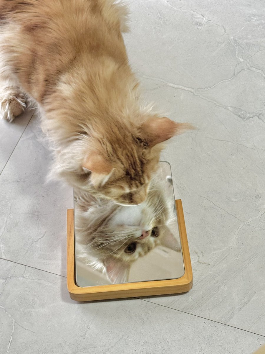 57Friend tweet media