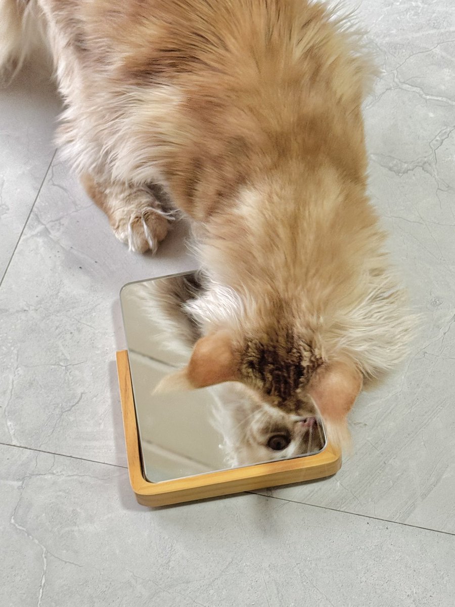 57Friend tweet media