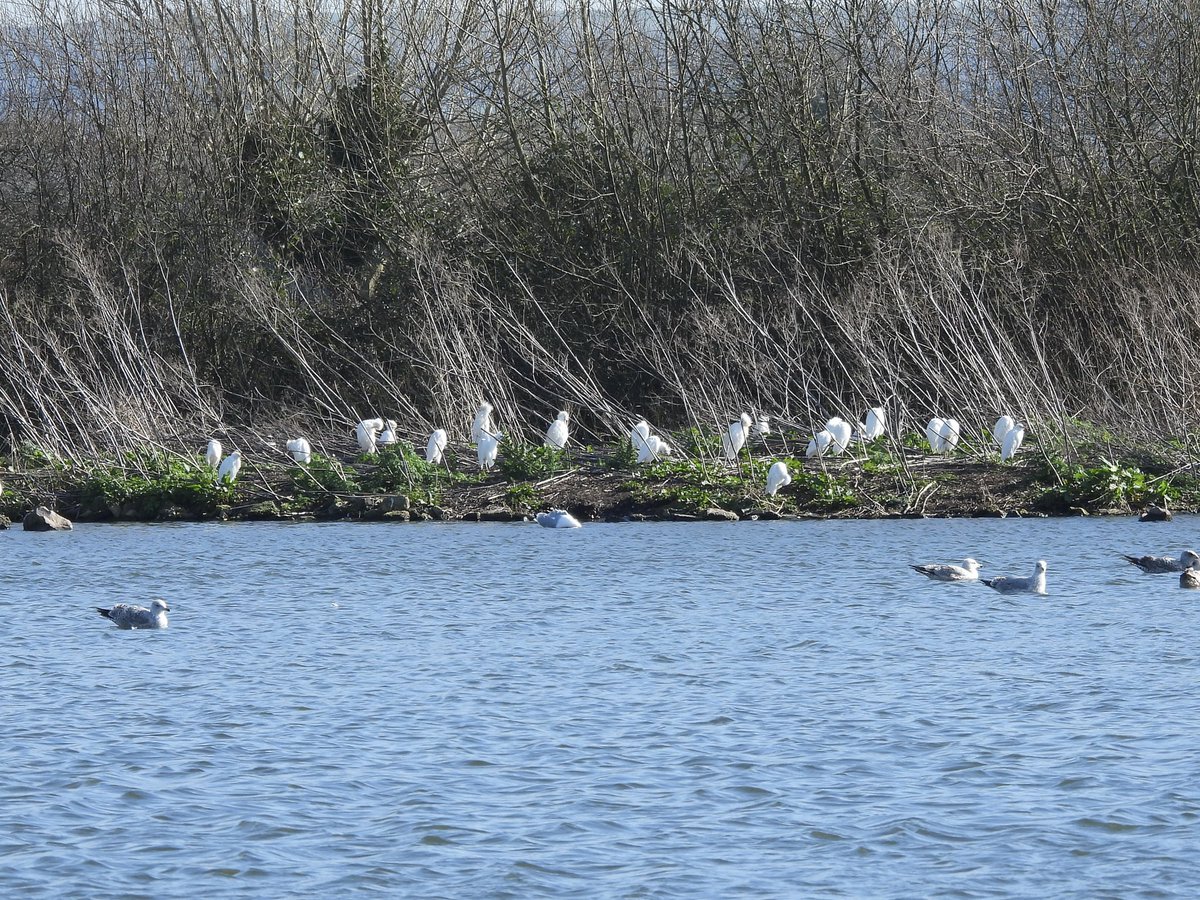 Paul Masters tweet media