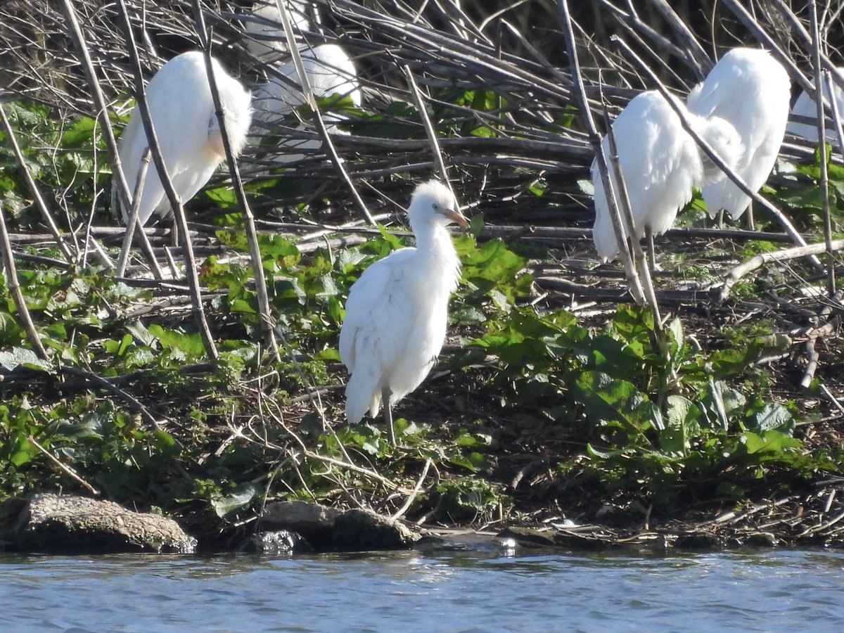 Paul Masters tweet media