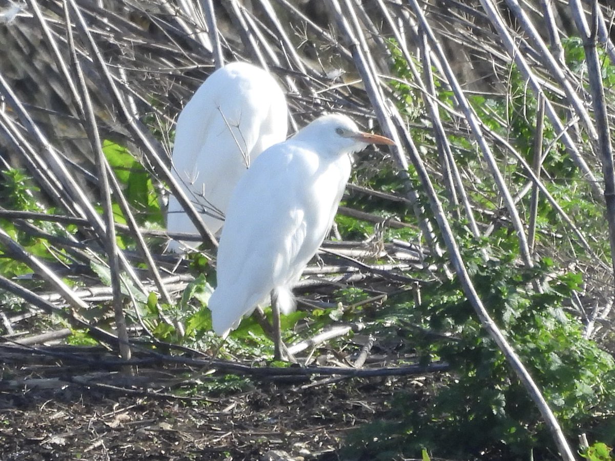 Paul Masters tweet media