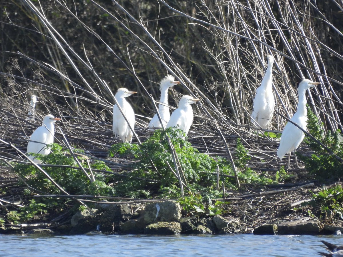 Paul Masters tweet media