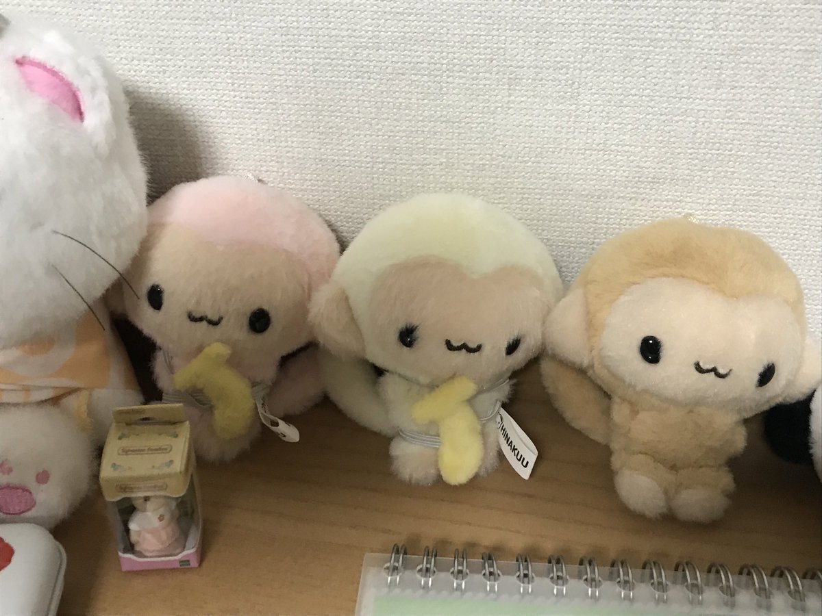 내일이 개강이라네요