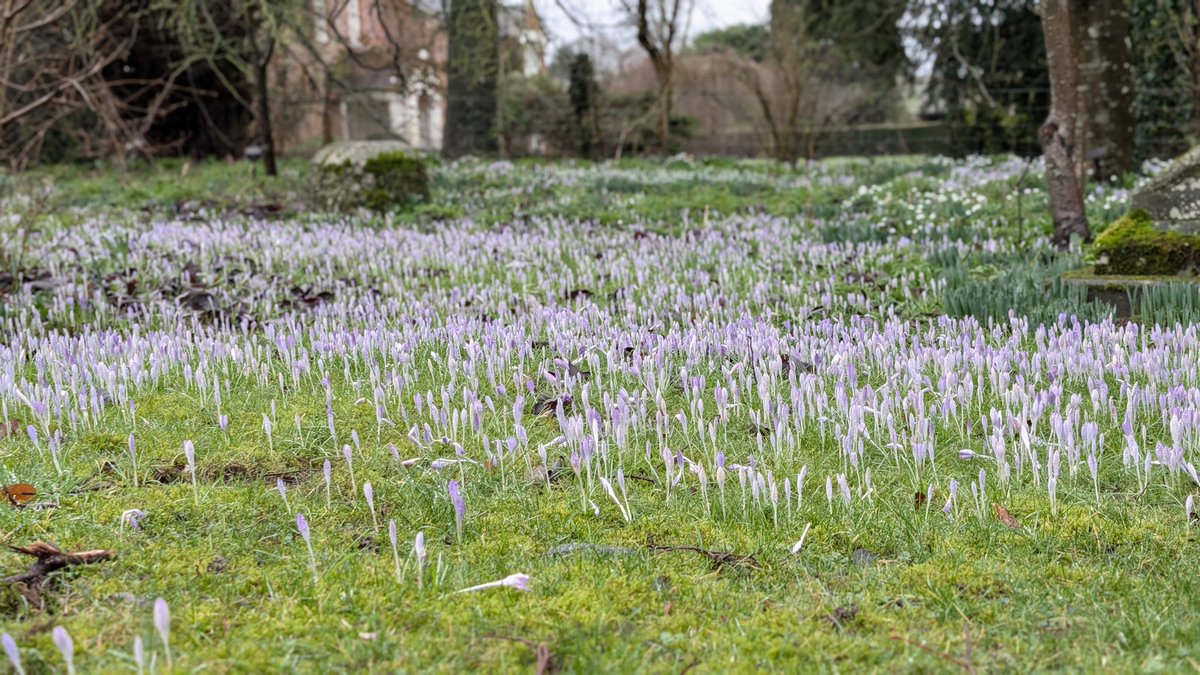 Steve Maskell tweet media