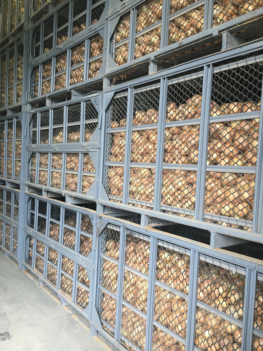 まるむし (@marumushi513) / Posts / X