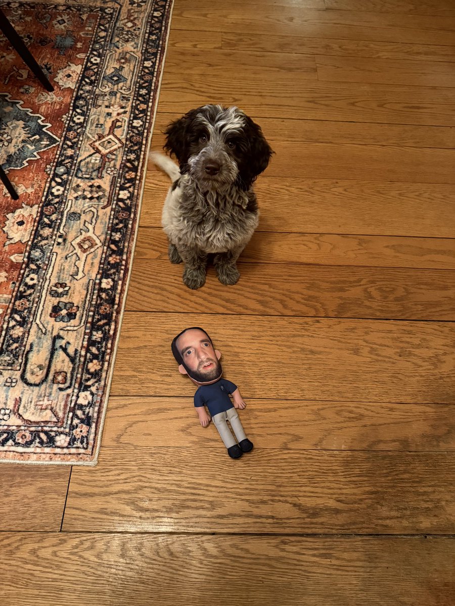 Patrick__B10's tweet photo. Say hello to my boy Rocky! 10/10 good boy and model pup

No better way to celebrate his first day in his new home than with his favorite toy! @BarstoolBigCat @hen_ease @PardonMyTake https://t.co/GGVbUHM9wc