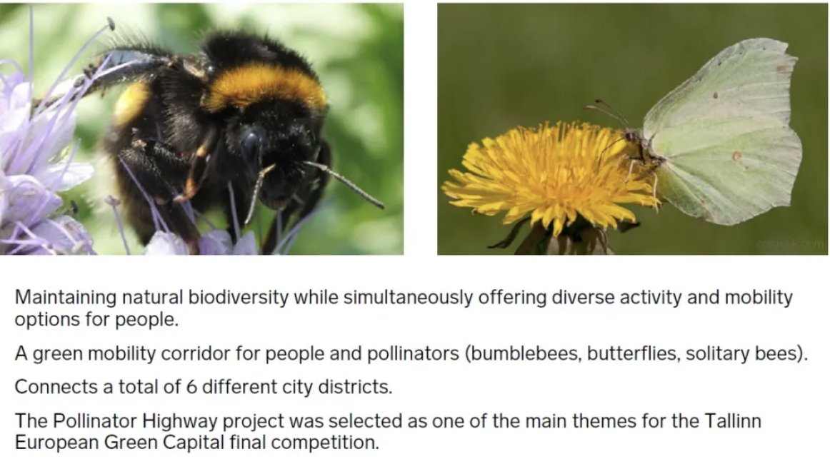 Pollinators tweet media