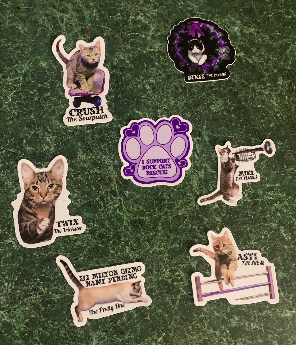 AmazingAcroCats's tweet image. Stickers always ship free!
rockcatsrescue.org/shop/stickers

#acrocats 
#catmerch