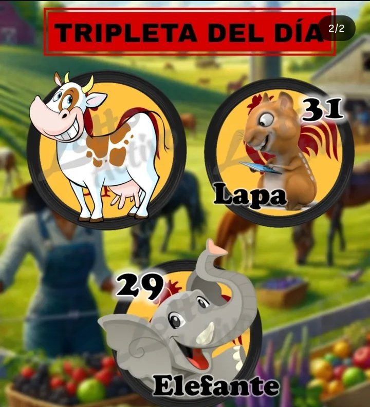 radiohipico1's tweet photo. DATOS DEL DIA
#Loterias
#Hipismo
#Tripletas https://t.co/KaZDpsPhkf
