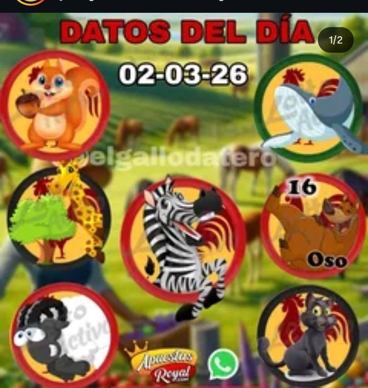 radiohipico1's tweet photo. DATOS DEL DIA
#Loterias
#Hipismo
#Tripletas https://t.co/KaZDpsPhkf