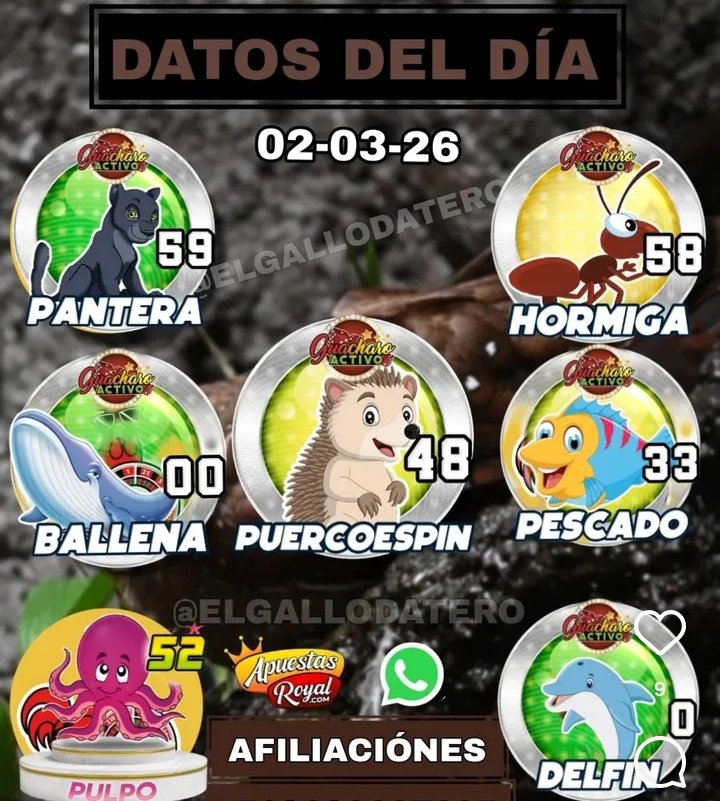 radiohipico1's tweet photo. DATOS DEL DIA
#Loterias
#Hipismo
#Tripletas https://t.co/KaZDpsPhkf