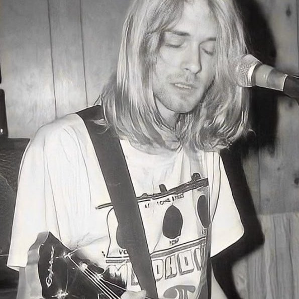 v𝓲𝓿𝓲 . ˖ 🪽 tweet media