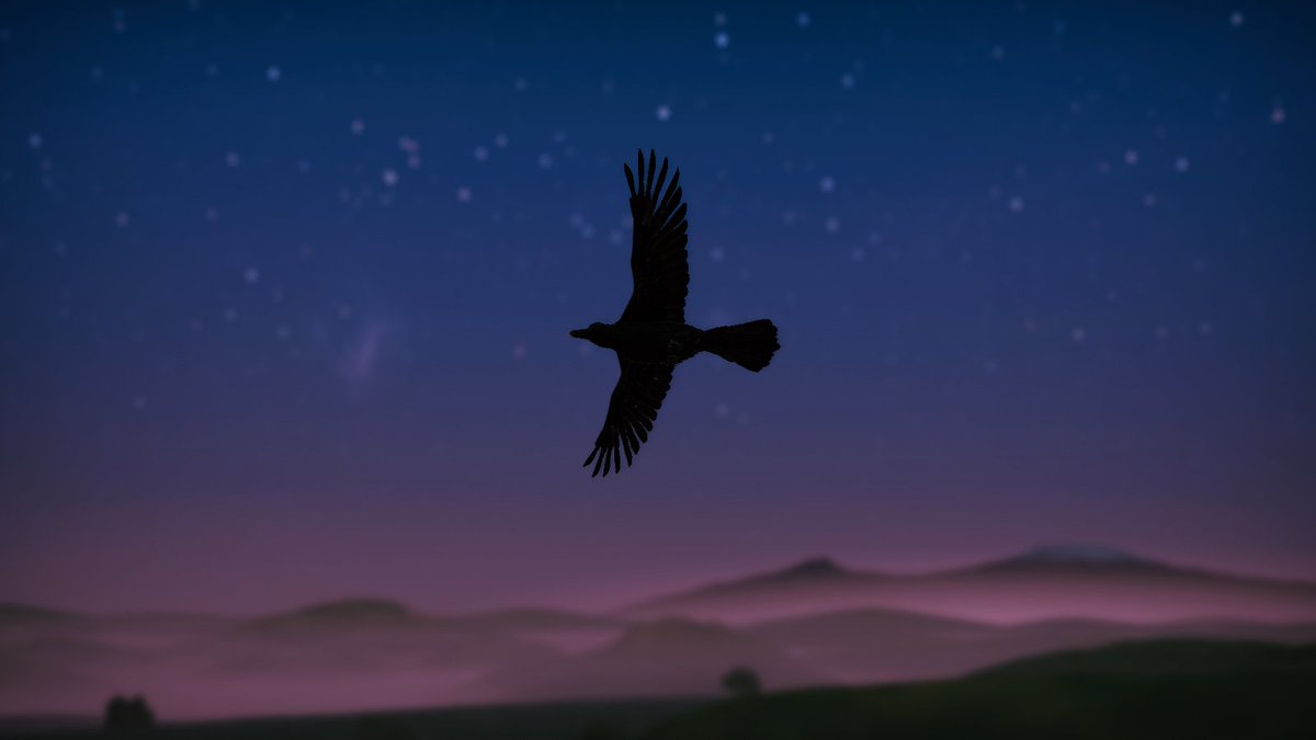 今日もかわいい動物さんたちに癒されました。にゅふふ