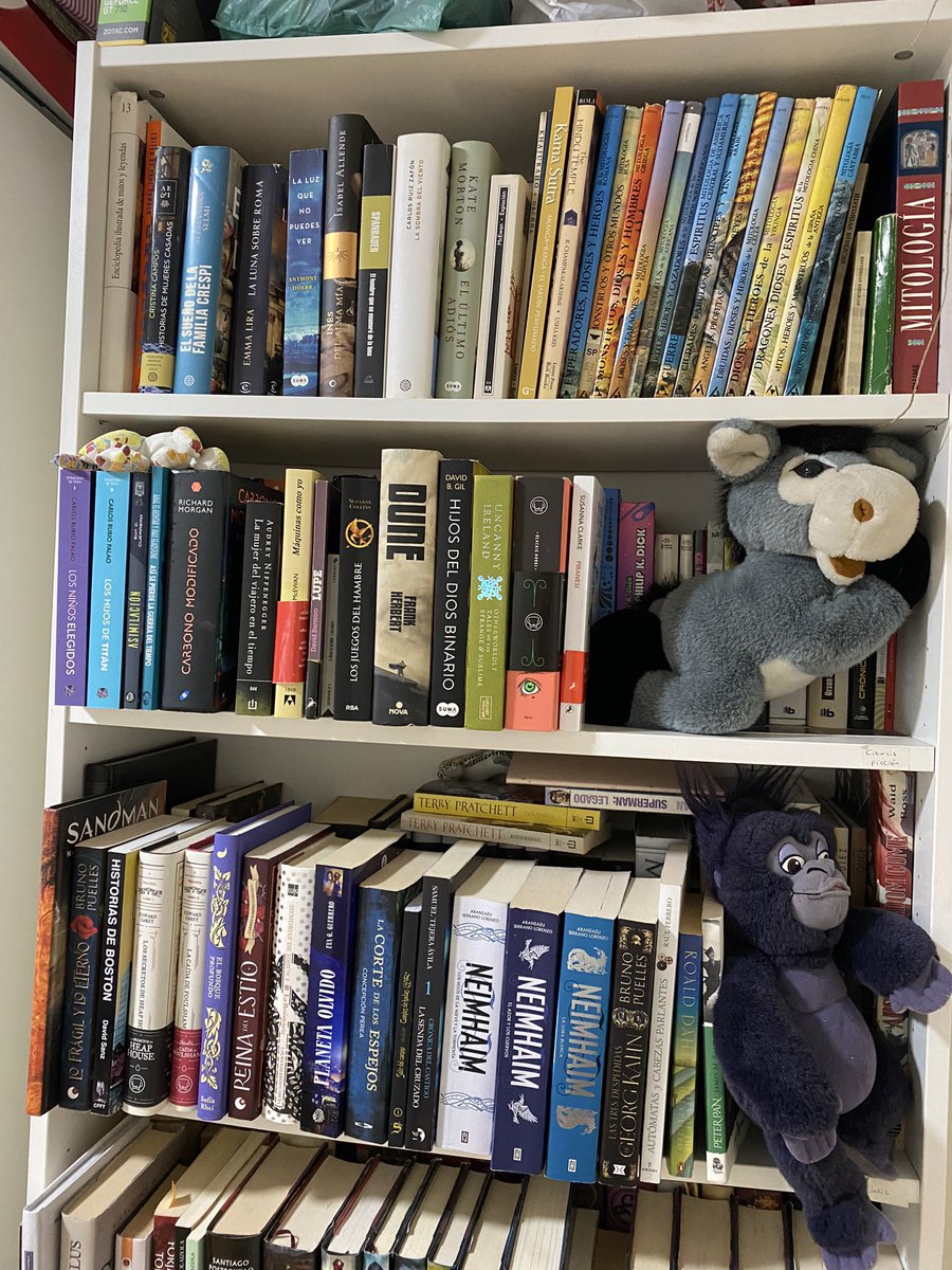 ana_b_nieto's tweet image. Os enseño la colección juvenil de mitología de Anaya con la que crecí y que fueron mis primeras lecturas…

Años después, aquí me tenéis. Haciendo un curso de novela mitológica ☺️📚 para @phantasticas 

#novelamitologica #mitologia #cursodenovela #mitos #escrituracreativa