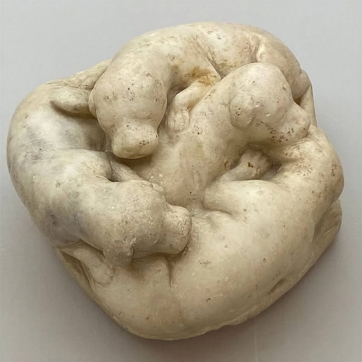 Archaeology & Art tweet media