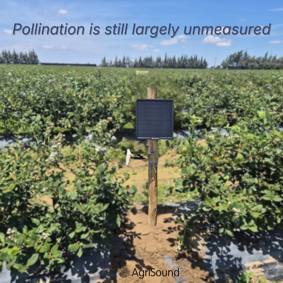 AgriSound tweet media