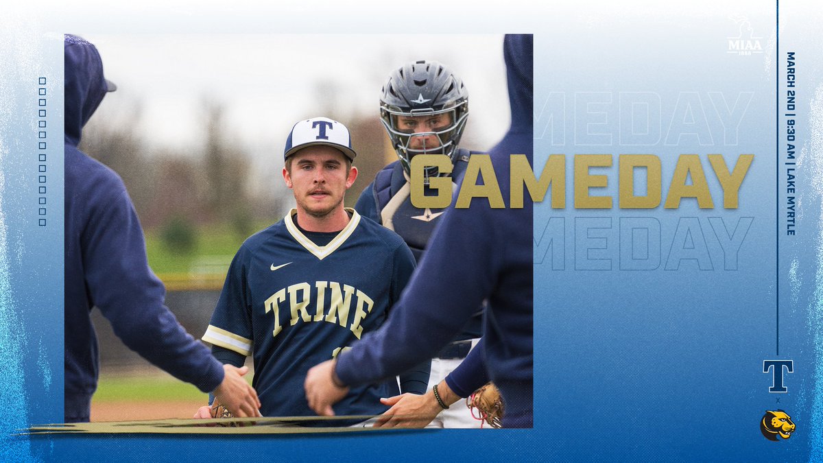 Trine Baseball tweet media