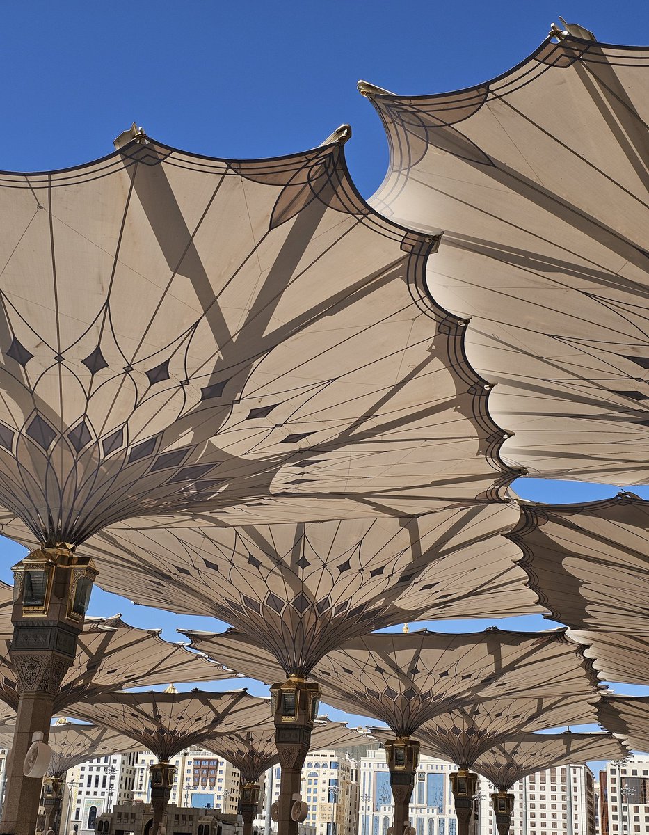 الكل tweet media