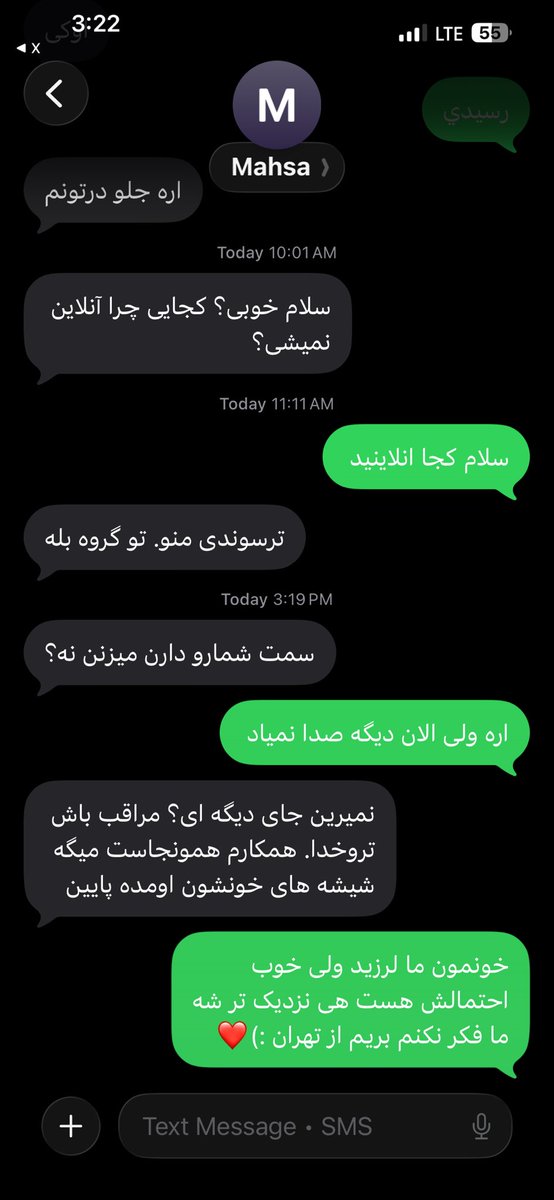 Persian Girl tweet media