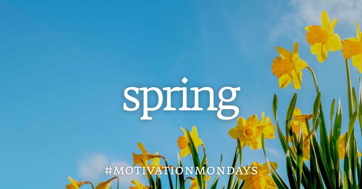 Collins Dictionary tweet media