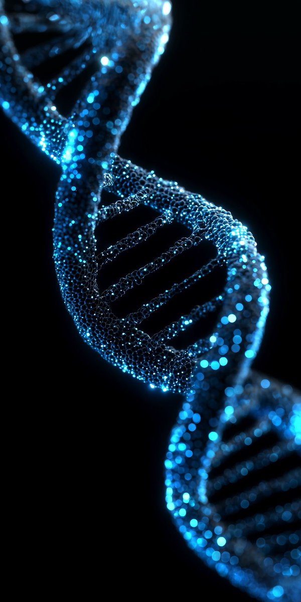 For all Curious tweet media