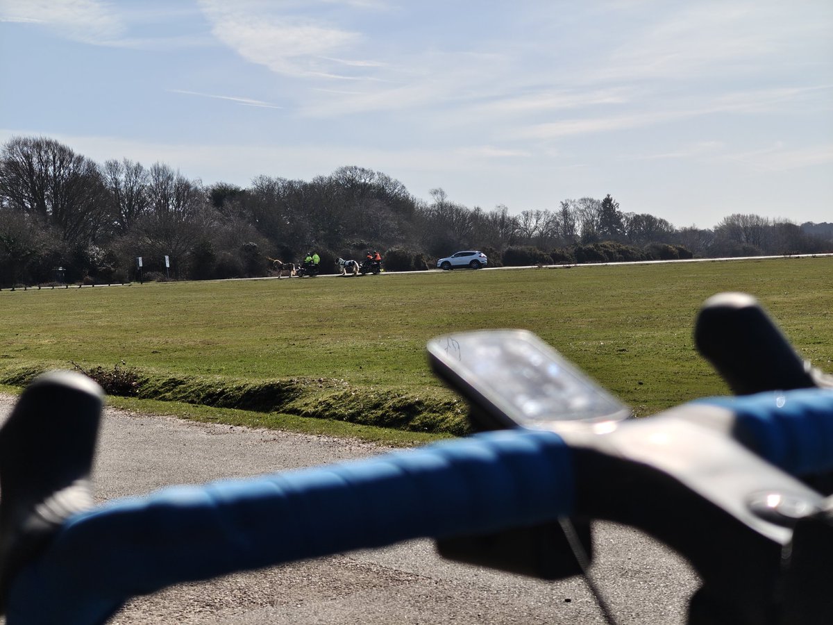 Joshimuz tweet media