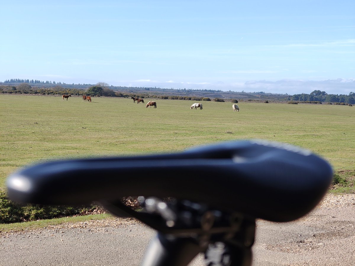 Joshimuz tweet media