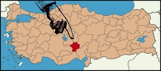Birol tweet media