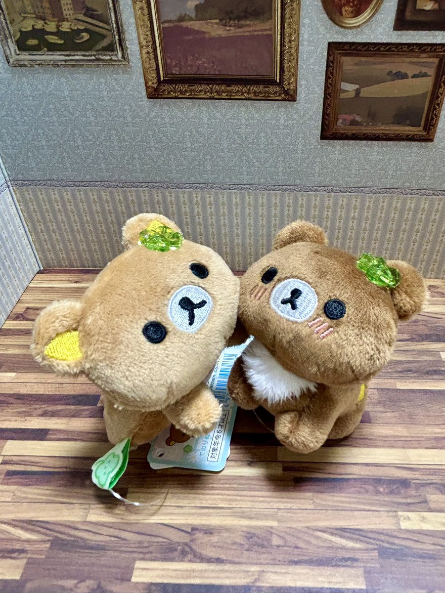 リラちゃんとこぐまちゃんの手のりぬいぐるみ😊 めちゃくちゃかわいい