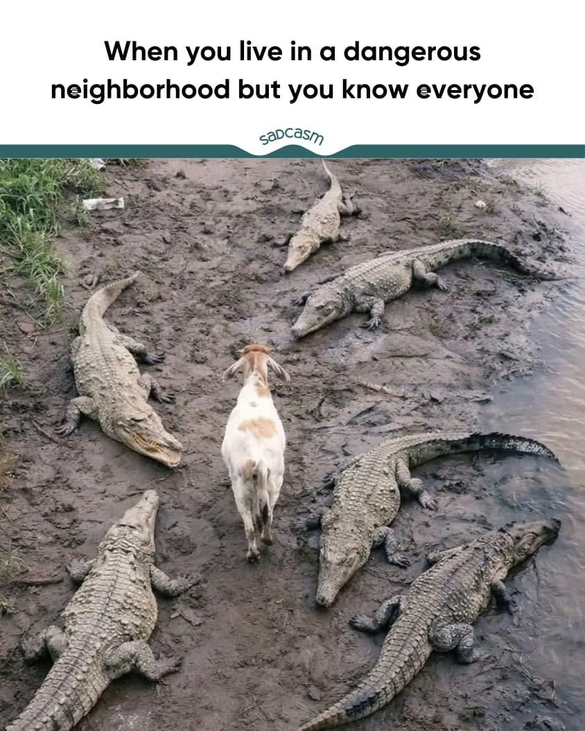 Global Folder tweet media