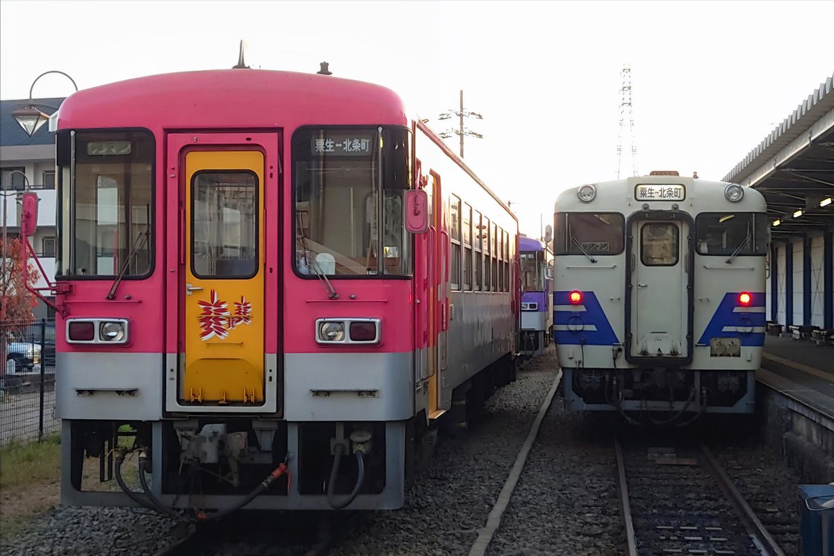 きくらげ (@kawahiyo6330) / Posts / X