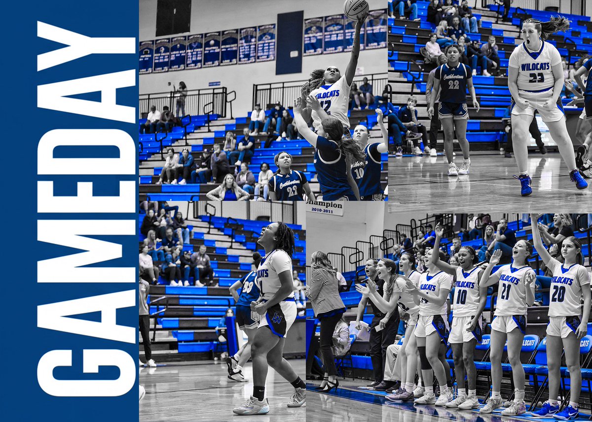 Lake Norman Girl's Basketball tweet media