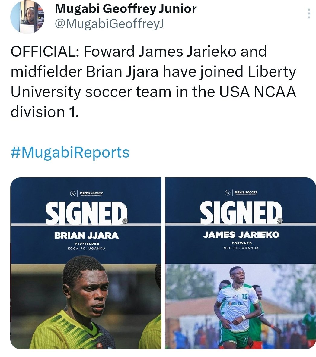 Tomstats tweet media