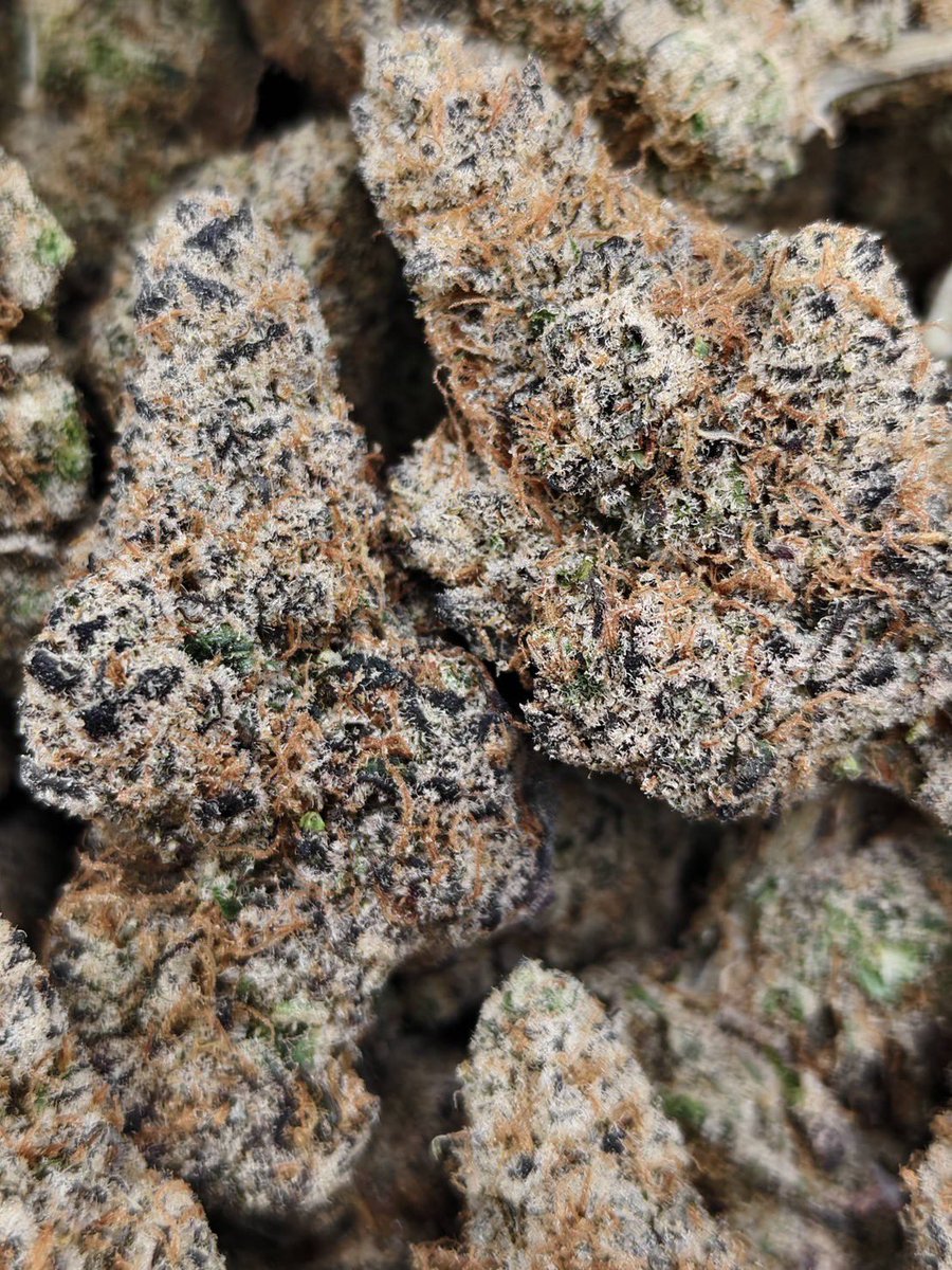 HippieVibe999's tweet photo. Sugar Bomb Punch 🍭💣
Indica 60% Sativa 40%
THC ≈ 27%
Flavors : 🍬 Sweet · 🍓 Fruity · 🌿 Herbal · ⛽ Light Gas
Contact Line➡️ https://t.co/lCmrEBHqs5
#กัญชา #weed #กัญชากรุงเทพ #OG #สายเขียว #cannabis #กัญชาส่งGrab https://t.co/RlZEDnjaH9