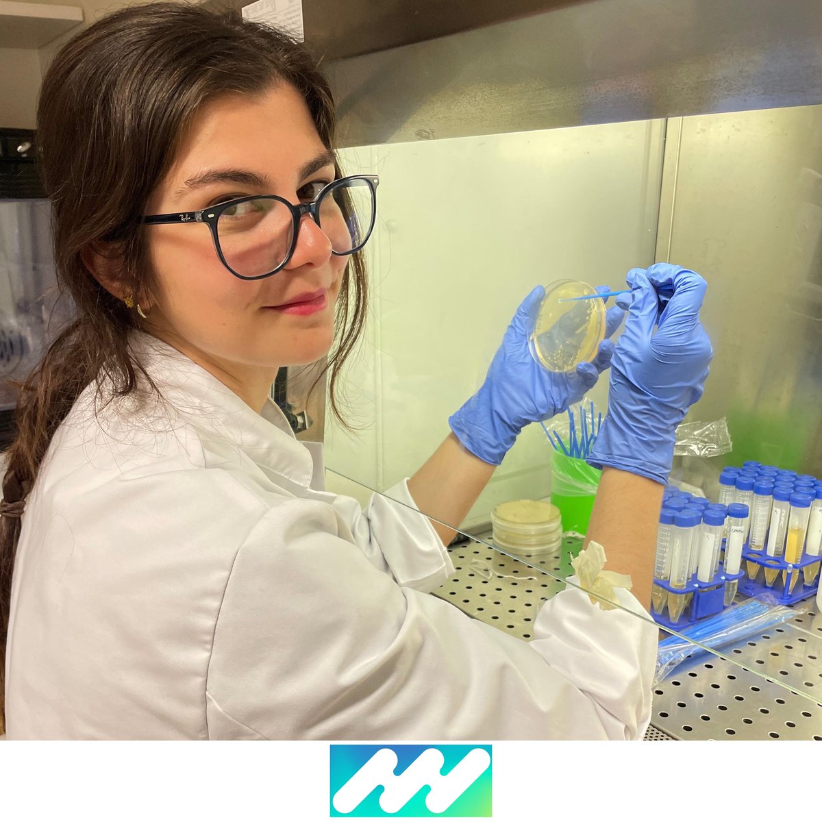 iPlantMicro Lab tweet media