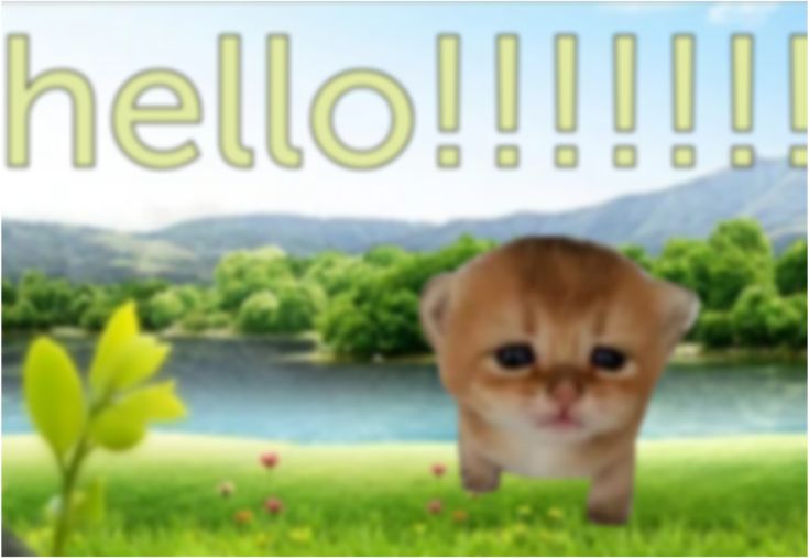 fotfOt! ₍ᐢ..ᐢ₎♡ tweet media