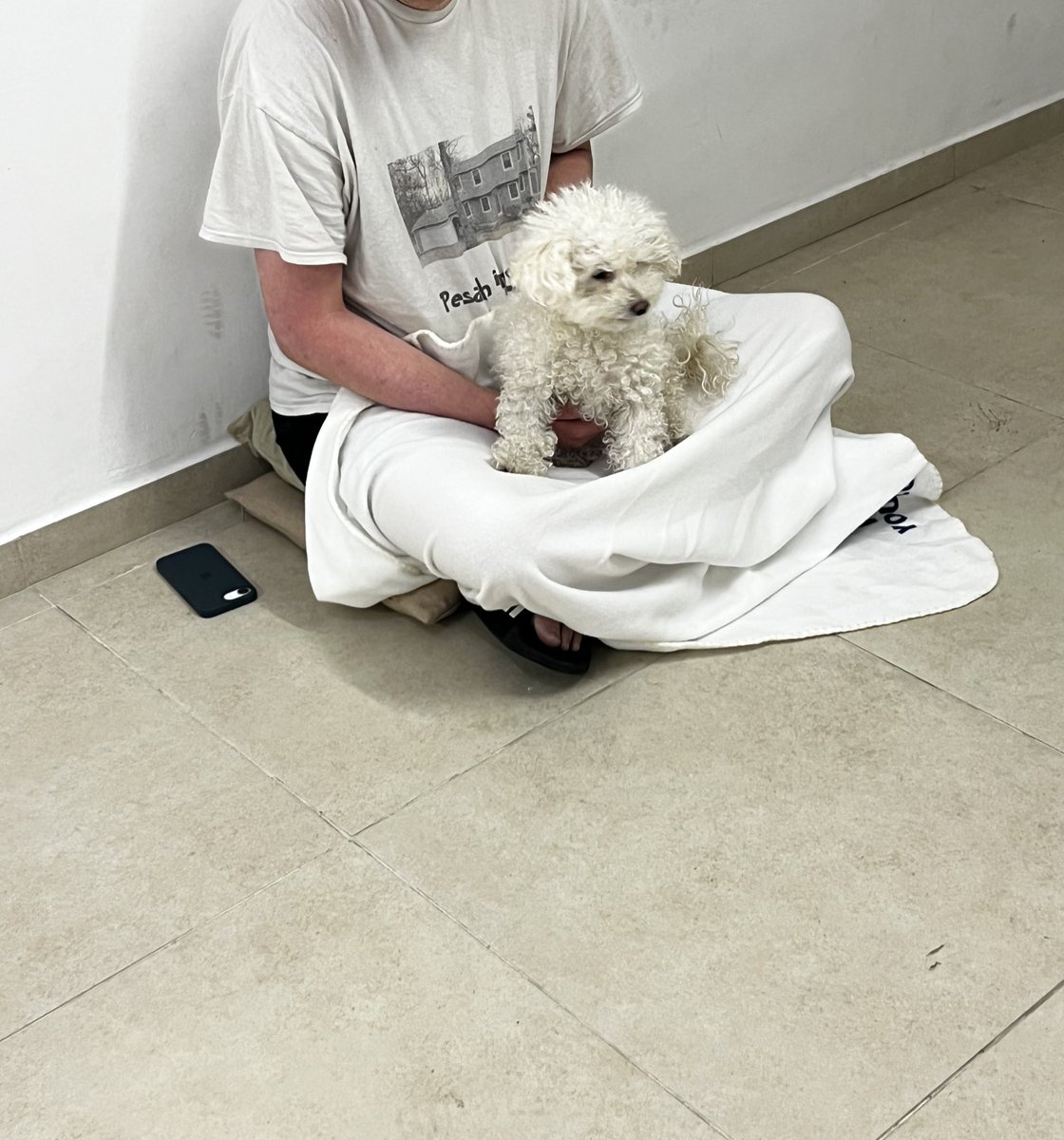 Mi perrita lejos de estar estresada está chocha porque en el refugio se hace amiga de todos los vecinos y todos le juegan, estamos organizando fiesta de Purim en el refugio y los vecinos ya quieren comprarle un disfraz y todo