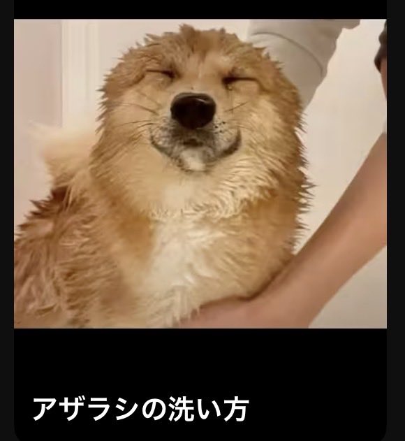 けのび ˙𐃷˙（V） (@kenobi39iwata) on Twitter photo 