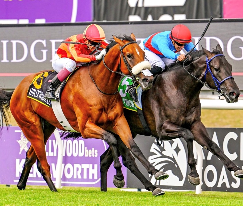 FreemanStallions tweet media