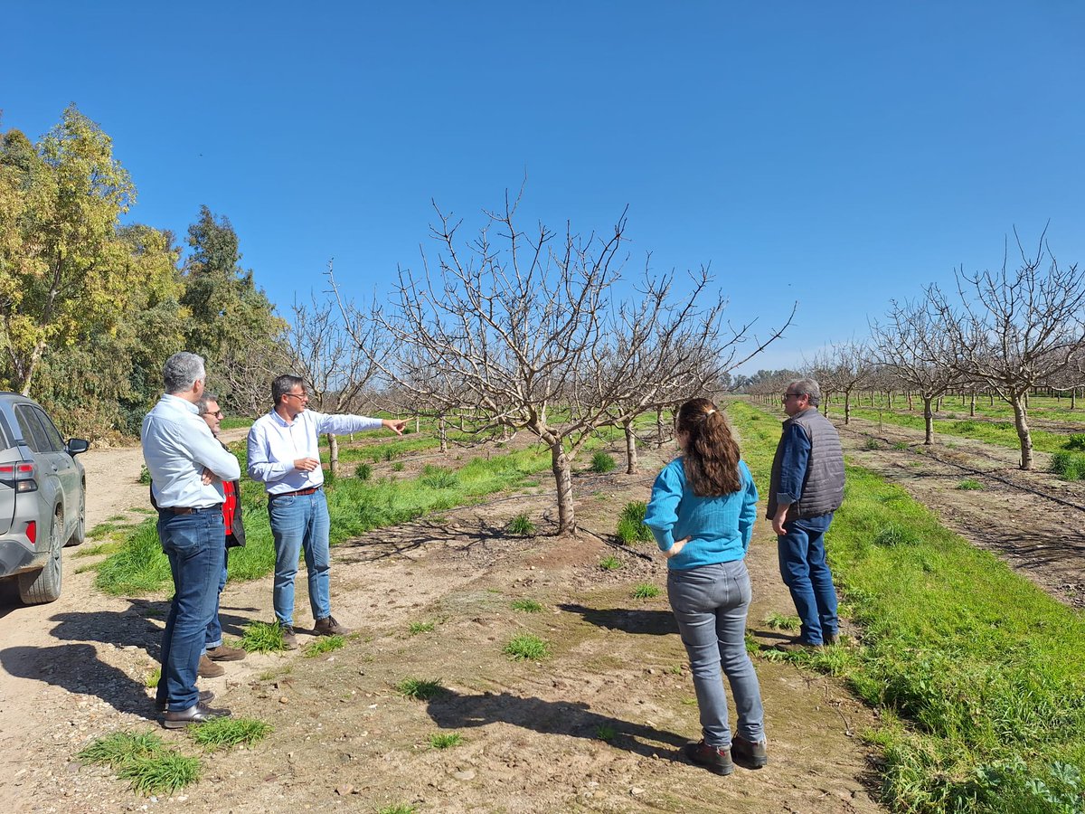 IrriSens-CSIC tweet media