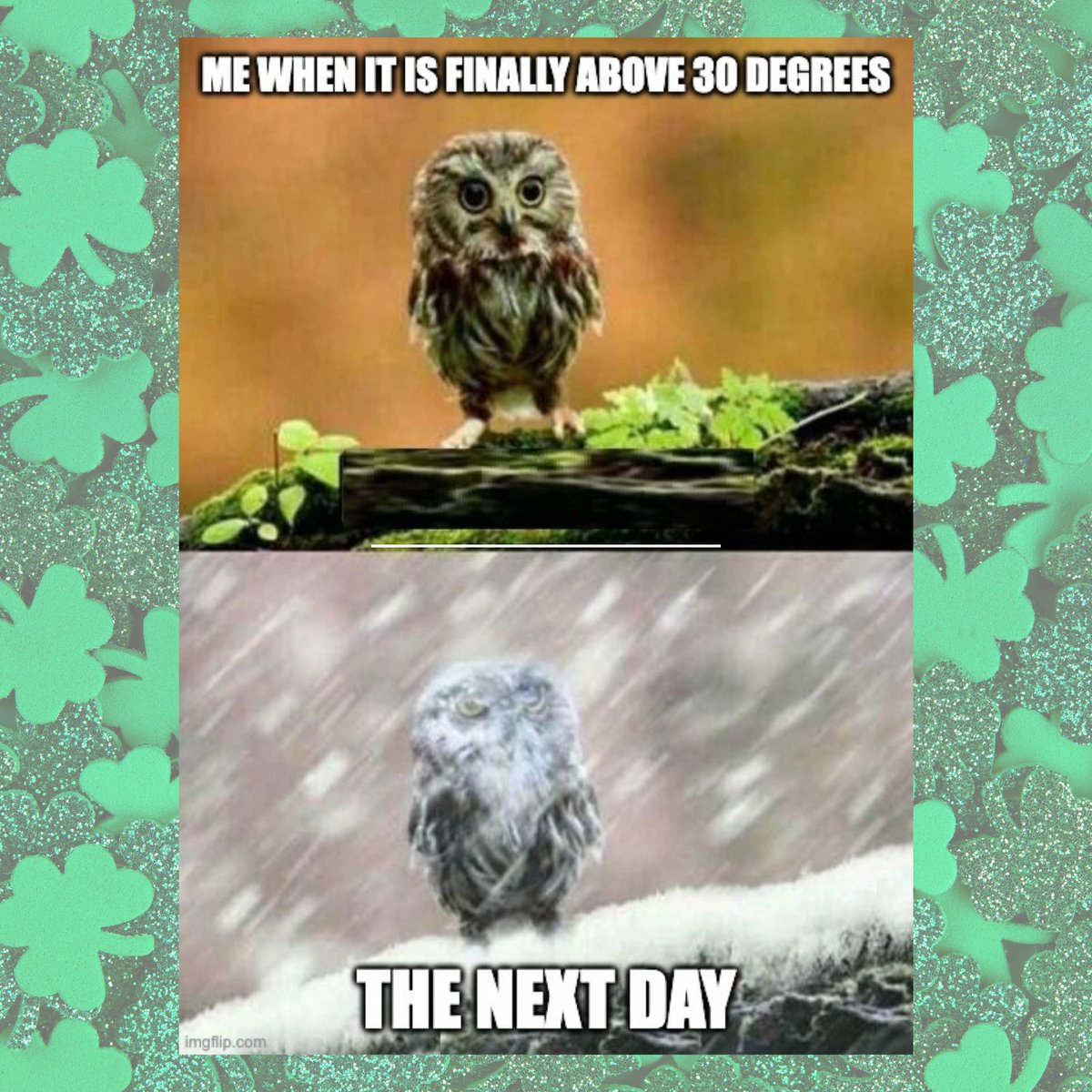 AmandaGonna's tweet photo. Sunshine one day, snow globe the next. 😅❄️☀️
Mother Nature really said, “Let’s keep it interesting.”

#WeatherMood #IndianaWeather #SeasonalWhiplash #SpringOrWinter #GenXMood #RelatableLife #amandastotallygonnanailit https://t.co/fn7mdu69nb
