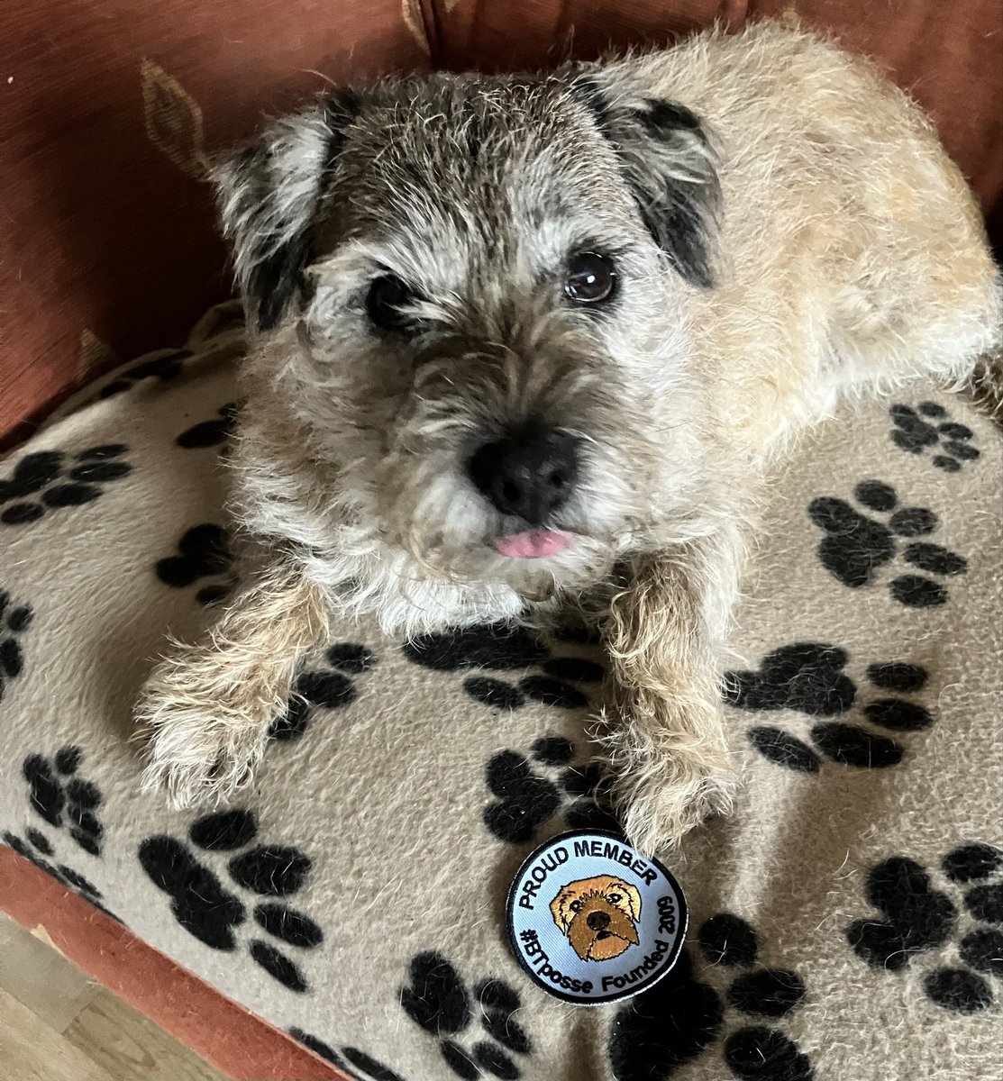 Teddy S BT tweet media