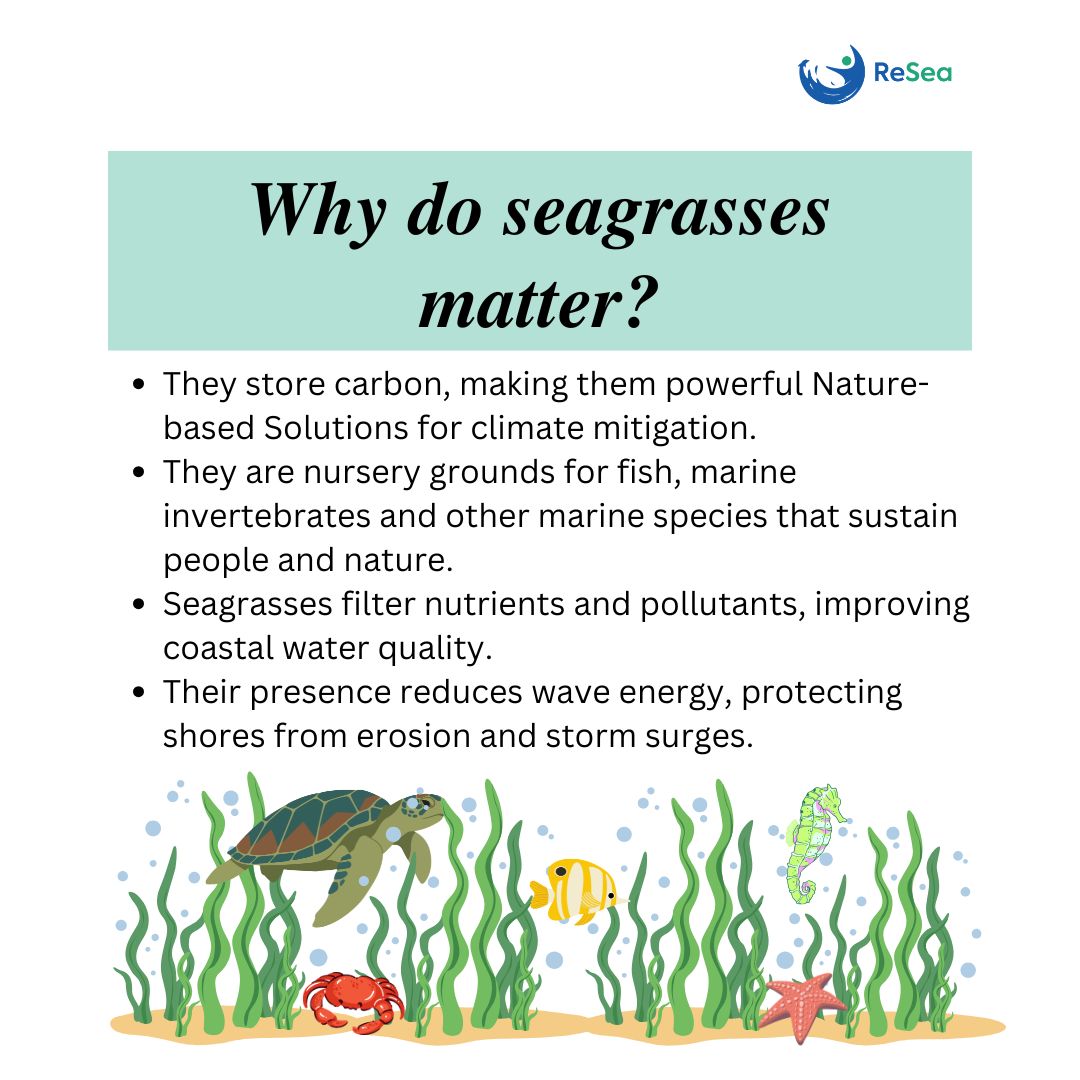 ReSea Project ESARO tweet media