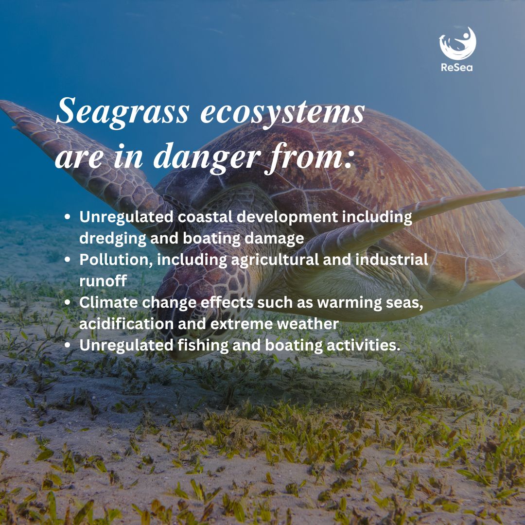 ReSea Project ESARO tweet media