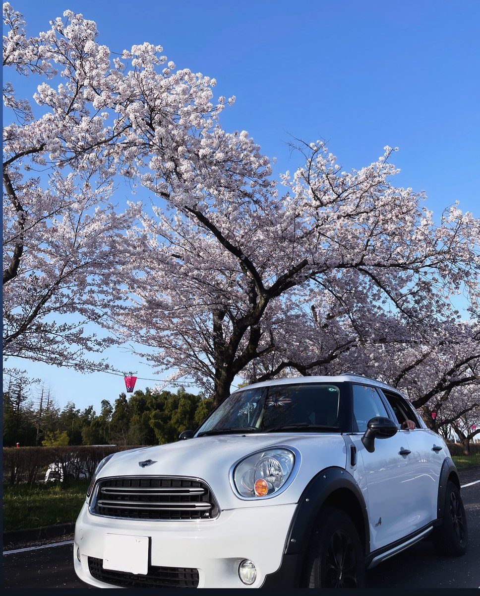 UTSyuko's tweet photo. 今日はMINIの日なのに、、、
MINIが居ない... ( 只今長期入院中 )
#MINIの日
#MINIDAY
#MINIFamily
#CROSSOVER
#MINIR60
#ミニクーパー
#MINI乗り
#MINI乗りさんと繋がりたい
#MINI好きさんと繋がりたい https://t.co/xTGluEIJvg