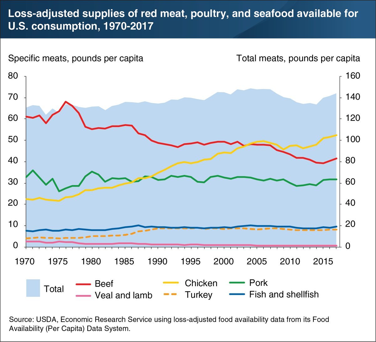 Cary Kelly tweet media