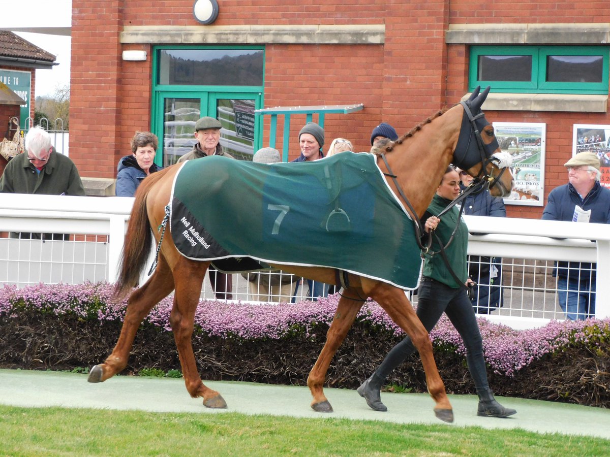 BG Racing Syndicates tweet media