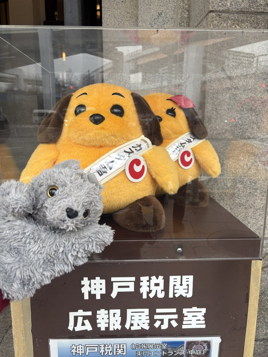 実演販売するポン太の一味 (@jumpnopontakun) / Posts / X