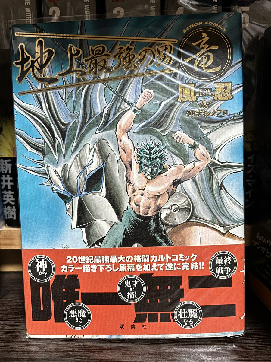 其の四でおすすめの漫画 ✪地上最強の男