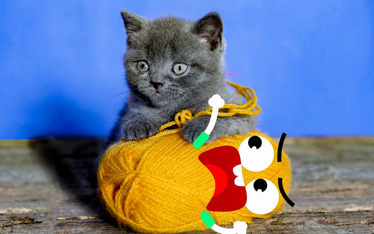 fₐₚₚyₚₑₚₑ.ₑₜₕ.eth tweet media